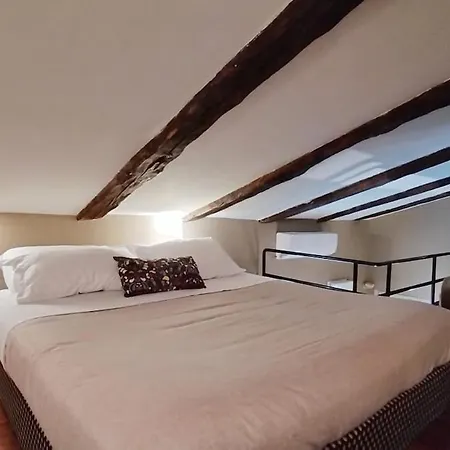 Centro Piazza Vittorio - Loft Di Design Con Ac Apartament *